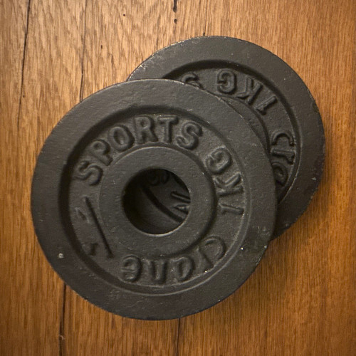 Sport hantelscheiben kg - 2x,